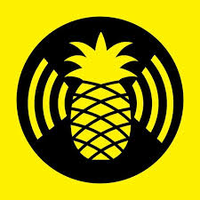 Featured image for Wifi PineApple 🍍